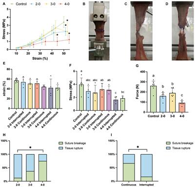 Biomechanical and tissue reaction: the effects of varying sutures size on canine abdominal wall stitching
